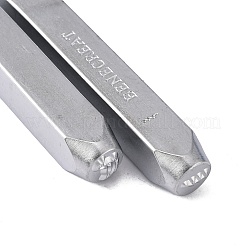 鉄の金属切手  金属の刻印用  プラスチック  木材  革  ミックス模様  プラチナ  65.5x10mm  模様：6ミリ  12個/箱&nbsp;AJEW-L060-03K