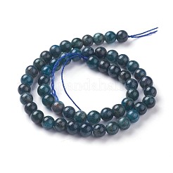 天然石アパタイトビーズ連売り  ラウンド  8mm  穴：1.2mm  約46~47個/連  14.7~15.5インチ（3~39.5cm）&nbsp;G-F627-07-C