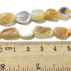 Natural Yellow Shell Beads Strands&nbsp;SSHEL-H072-08