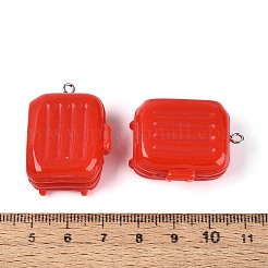 Opaque Resin Pendants&nbsp;RESI-T061-18C