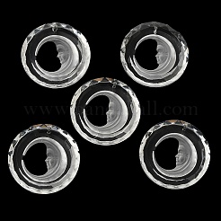 Transparent Glass Pendants&nbsp;GLAA-F118-06