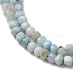 Natural Larimar Beads Strands&nbsp;G-F803-B01-01