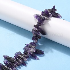 Rough Raw Natural Amethyst Beads Strands&nbsp;G-G010-12