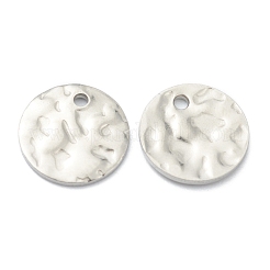 Tarnish Resistant 304 Stainless Steel Charms&nbsp;STAS-H157-03C-P