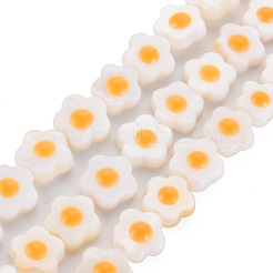 エナメルを使用した天然淡水シェルビーズ連売り  花  オレンジ  8~9x8~9x3.5mm  穴：1mm  約48~50個/連  15.16インチ〜15.55インチ（39.5cm）&nbsp;SHEL-T018-29A