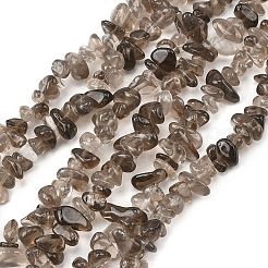 天然石スモーキークォーツビーズ連売り  チップ  6~14x3~8x3~8mm  穴：1mm  29.92''（76センチメートル）&nbsp;G-P622-A01-01