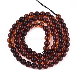 天然琥珀ビーズ連売り  ラウンド  4~5mm  穴：0.6mm  約82~83個/連  14.96~15.16インチ（38~38.5cm）&nbsp;G-K387-D01-02