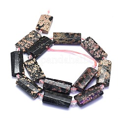 Natural Snowflake Obsidian Beads Strands&nbsp;G-E530-16M