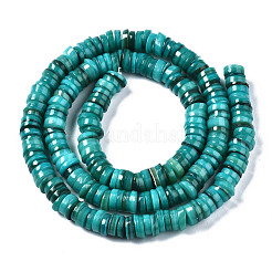 Natural Freshwater Shell Beads Strands&nbsp;SHEL-Q024-001D