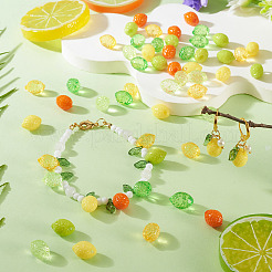 60Pcs 6 Styles Transparent and Opaque Acrylic Beads&nbsp;OACR-TA0004-51