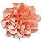 1Pc Polyester Brooches, Flower, Light Salmon, 200mm