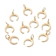 Brass Charms&nbsp;KK-A149-03G-1