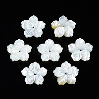 Natural White Shell Beads&nbsp;SSHEL-N027-131B-01