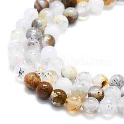 Natural White African Opal Beads Strands&nbsp;G-K245-A18-02