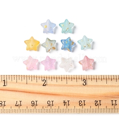 300Pcs 10 Colors Frosted Acrylic Charms&nbsp;OACR-FS0004-09