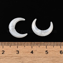 Acrylic Beads&nbsp;OACR-H042-06B