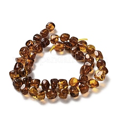 Natural Amber Beads Strands&nbsp;G-L095-K01-01