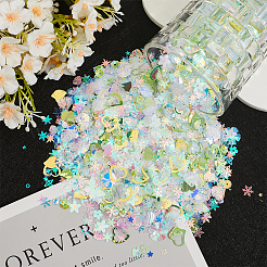 100G Plastic Sequins Beads&nbsp;PVC-CP0001-01C