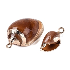 Electroplate Natural Spiral Shell Pendants&nbsp;SSHEL-Q100-45G