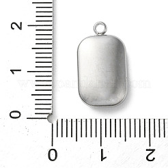 304 Stainless Steel Acrylic Pendants&nbsp;STAS-M091-02C-P