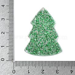 Acrylic Cabochons&nbsp;LS-OACR-I023-02C