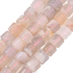 Natural Cherry Blossom Agate Beads Strands&nbsp;G-C270-H01