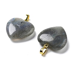 Natural Labradorite Pendants&nbsp;G-G956-B24-G