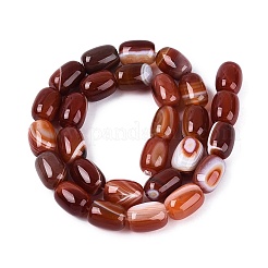 Natural Agate Beads Strands&nbsp;G-N356-02B-06