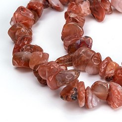 天然石カーネリアンビーズ連売り  チップ  3~16x3~8mm  穴：0.7mm  80~81cm&nbsp;G-G011-01