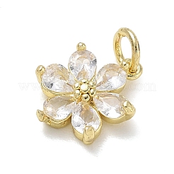 Brass with Rhinestone Charms&nbsp;KK-CBAD872-01G-09