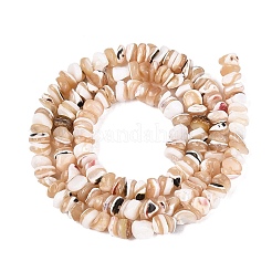 Natural Trochus Shell Beads Strands&nbsp;SSHEL-ZX008-01