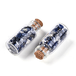 Glass Wishing Bottle Display Decorations&nbsp;AJEW-T013-02D