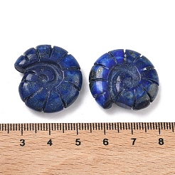 Natural Lapis Lazuli Conch Display Decorations&nbsp;DJEW-D303-01B