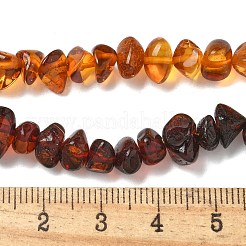 グラデーションカラーの天然琥珀ビーズ連売り  ナゲット  ミックスカラー  5~8mm  穴：1mm  約73個/連  13.90''（35.3センチメートル）&nbsp;G-K387-F01-01