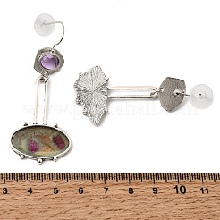 Alloy & Resin Dangle Earrings&nbsp;EJEW-Z163-01P