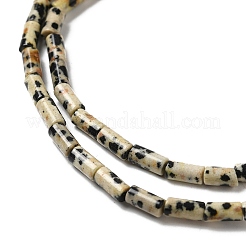 天然石ダルメシアンジャスパービーズ連売り  コラム  6x3mm  穴：0.8mm  約59~60個/連  15.08~15.20''（38.3~38.6センチメートル）&nbsp;G-E612-B01