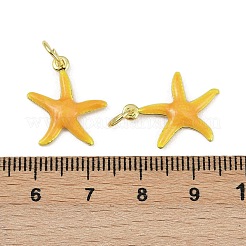 Brass Enamel Pendants&nbsp;KK-I358-001G-A