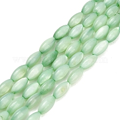 Natural Freshwater Shell Beads Strands&nbsp;SHEL-C010-01