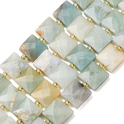 Natural Flower Amazonite Beads Strands&nbsp;G-F839-A21-01