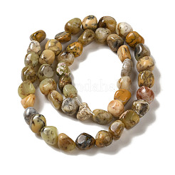 Natural Yellow Moss Agate Beads Strands&nbsp;G-B078-D13-01