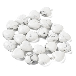 Natural Howlite Beads Strands&nbsp;G-E614-A17-01