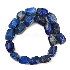 Natural Lapis Lazuli Beads Strands&nbsp;G-F796-C01-01