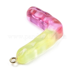 Resin Pendant&nbsp;FIND-Q107-01L-03