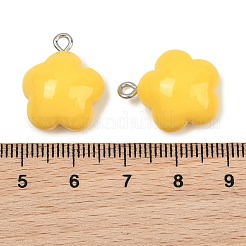 Opaque Resin Pendants&nbsp;RE-CBAF00C-12C