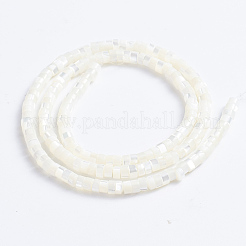 天然トロチッドシェル/トロカスシェルビーズ連売り  コラム  ホワイト  3.5~4x2~2.5mm  穴：0.8mm  約176個/連  15.94インチ（40.5cm）&nbsp;X-SSHEL-L016-13A