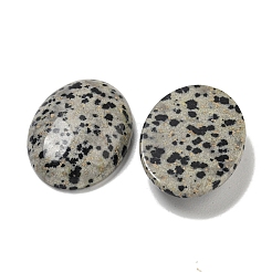 Natural Dalmatian Jasper Cabochons&nbsp;G-C115-01B-10