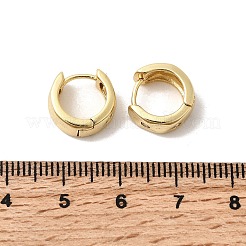 Brass Micro Pave Clear Cubic Zirconia Hoop Earrings&nbsp;EJEW-Z149-02G