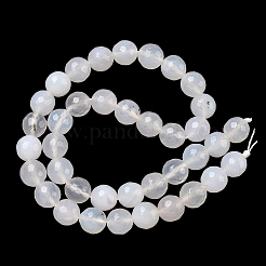 Natural Agate Beads Strands&nbsp;G-M435-B01-01Q
