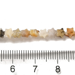 Natural Crazy Lace Agate Beads Strands&nbsp;G-G085-B39-01