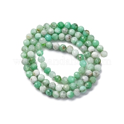 Natural Chrysoprase Beads Strands&nbsp;G-G195-A02-03